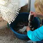 Διαμέρισμα Mareverde