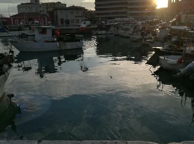 公寓 Mareverde 西尼加利亚